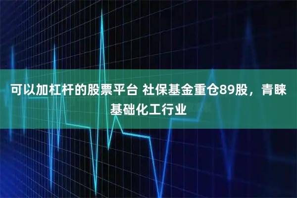 可以加杠杆的股票平台 社保基金重仓89股，青睐基础化工行业