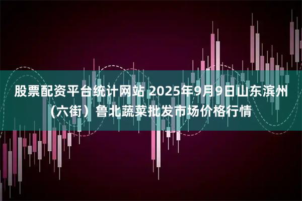 股票配资平台统计网站 2025年9月9日山东滨州(六街）鲁北蔬菜批发市场价格行情