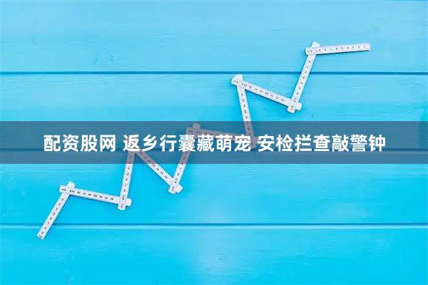 配资股网 返乡行囊藏萌宠 安检拦查敲警钟