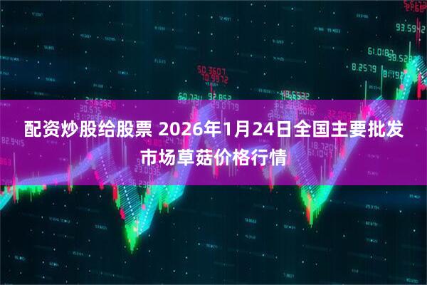 配资炒股给股票 2026年1月24日全国主要批发市场草菇价格行情