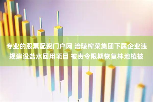 专业的股票配资门户网 涪陵榨菜集团下属企业违规建设盐水回用项目 被责令限期恢复林地植被
