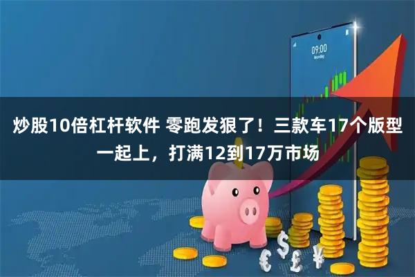 炒股10倍杠杆软件 零跑发狠了!三款车17个版型一起上,打满12到17万市场